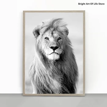 Liūtas Karalius Spausdinti, Laukinės gamtos Fotografija, Gyvūnų Plakatas, laukinės gamtos safari Spausdinti Modernios Sienos Menas, Namų Dekoro