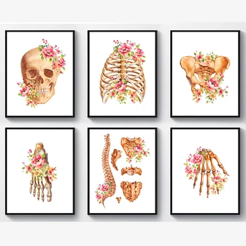 Žmogaus Skeleto Sistemos Canavs Tapybos Skeleto Funkcijų Gėlių Spausdinti Plakato Žmogaus Kūno Anatomiją Sienos Nuotrauka Gydytojas Biuro Dekoras